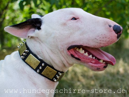 Leder Halsband, ungewöhnlich