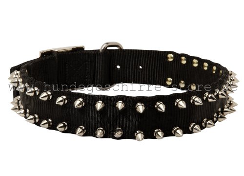 Nylon Halsband, sicher