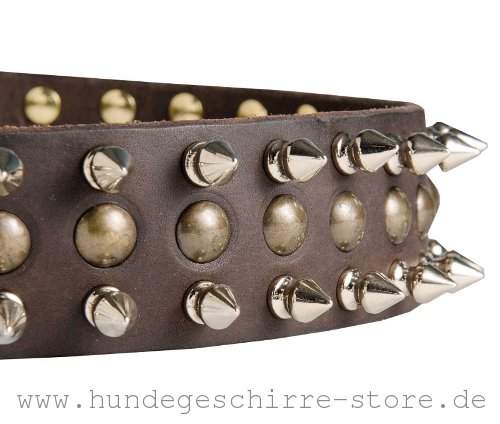 Leder Halsband, praktisch