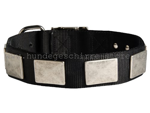 Nylon Hundehalsband, originell