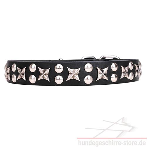 narrow dog collars stars and rivet luxury pet shop