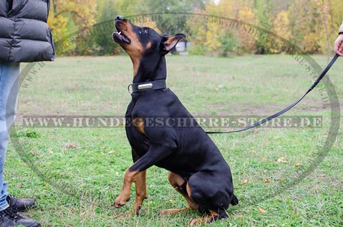 Hunde Lederhalsband mit Namensplatte fuer Dobermann
Pinscher