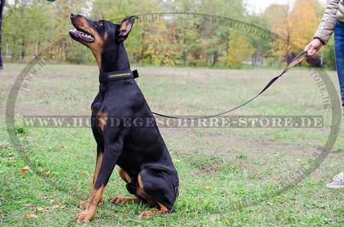 Nylon Halsband fuer Doberman Pinscher Klassisch