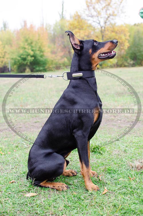 Nylon Halsband fuer Dobermann Pinscher