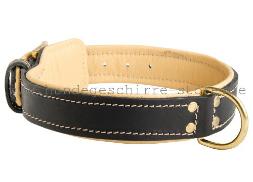 Leder Halsband, sicher