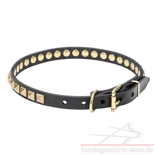 halsband mit nieten messing hundeshop