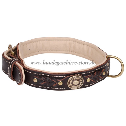 hundehalsband leder nappa design kaufen