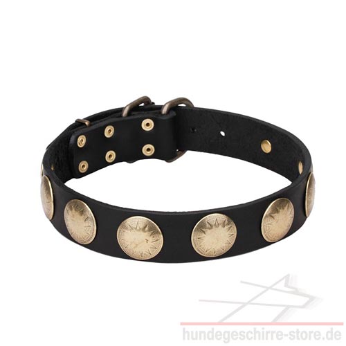 vintage dog collars brass circles luxury pet shop