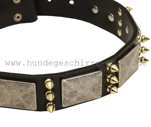 Leder Halsband, vernietet