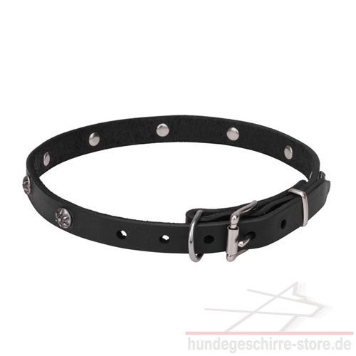 leather collars dog trendy rivets Austria