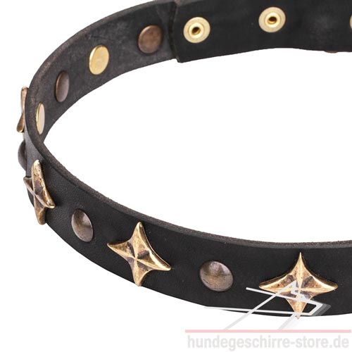 halsband mit nieten bronziert hundeshop