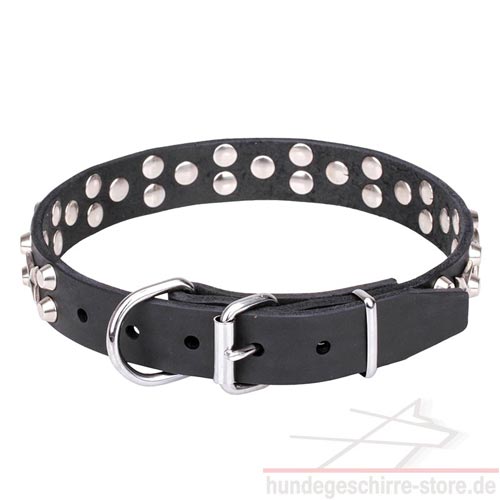 narrow dog collars, stars and cones luxury pet shop