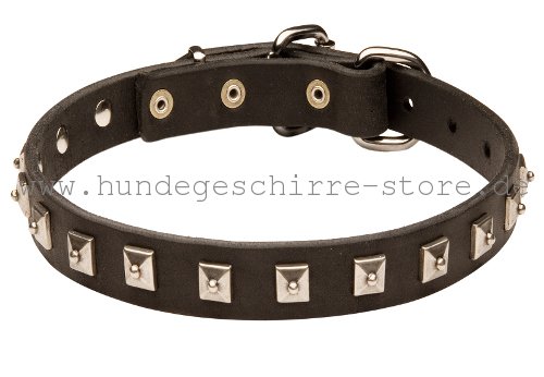 Leder Hundehalsband, vernietet