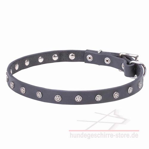 Leder Halsband für Hunde