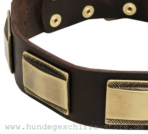 Leder Halsband, dauerhaft