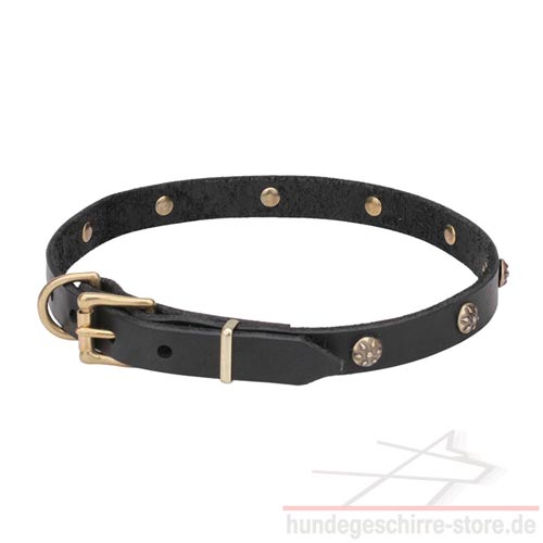 lederhalsband hund genietet luxus blumen eingravierung
hundeshop