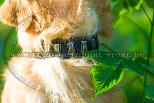 Leder Halsband für Hunde-Ausläufe