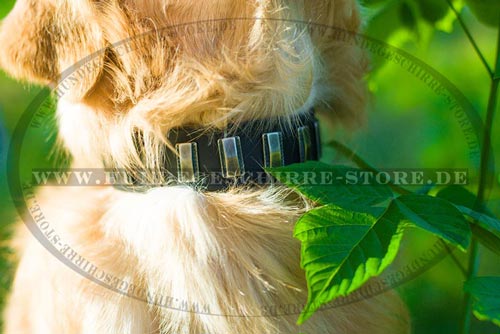 Leder Halsband für Hunde-Ausläufe