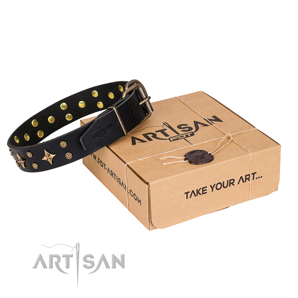 Leather dog collar online