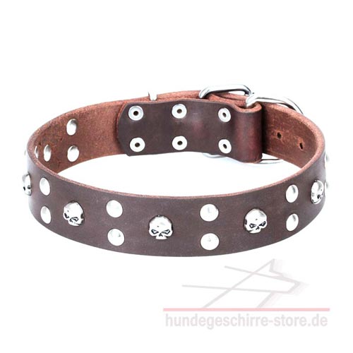 Leder Hundehalsband, hochwertig