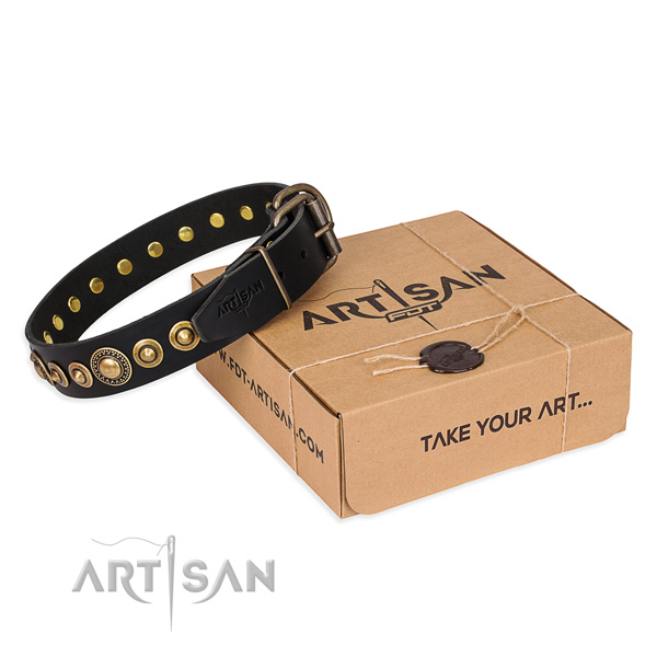 Leder Hundehalsband online kaufen