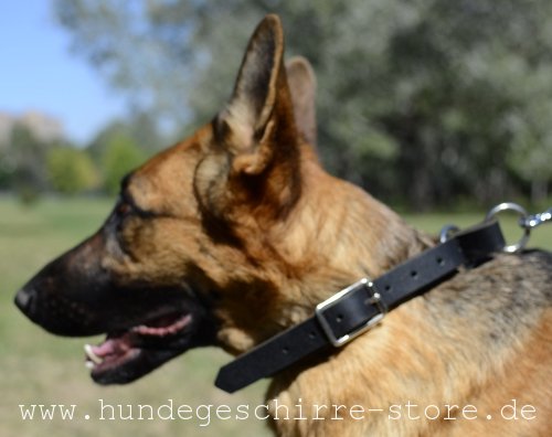 Leder Halsband für Hunde, eng