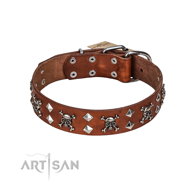 Leder Hundehalsband online kaufen