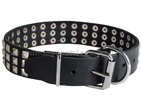 Leder Halsband, stark