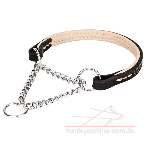 Hundehalsband für Hunde für Hunde-Dressur