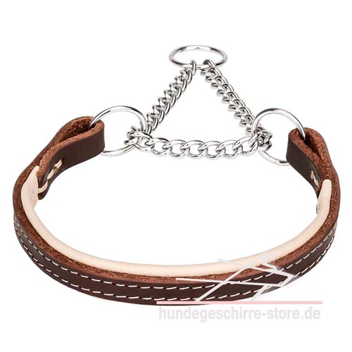 Halsband Leder für Hunde, hochwertig