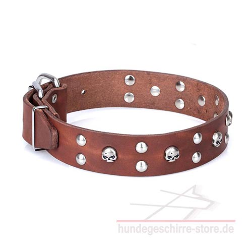 Leder Hundehalsband, wunderbare Qualität