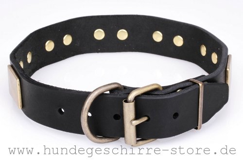 Hundehalsband aus Leder, Spitzenqualität