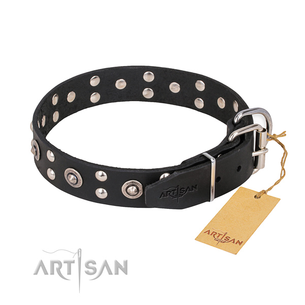 robustes Leder Hundehalsband