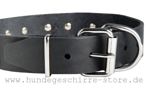 Leder Hundehalsband, dauerhaft