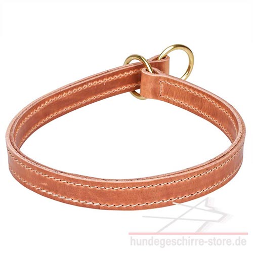 Leder Halsband für ungehorsame Hunde