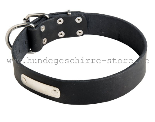 Leder Hundehalsband, wertvoll