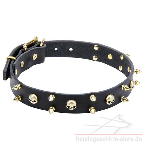 hundehalsband leder schädel und spikes design kaufen