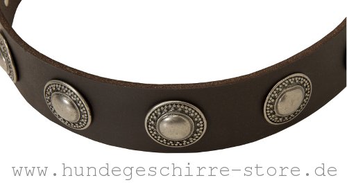 sicheres Leder Hundehalsband