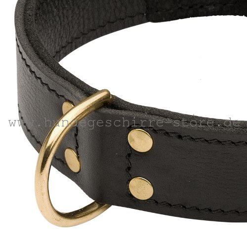 Leder Halsband, praktisch