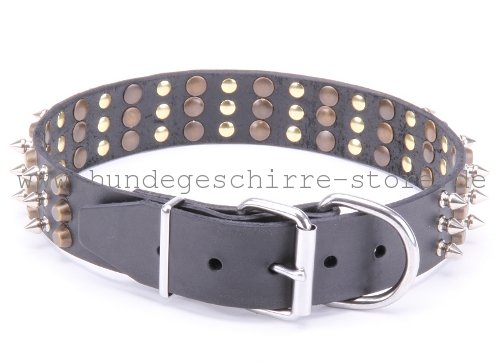 Leder Halsband, dauerhaft