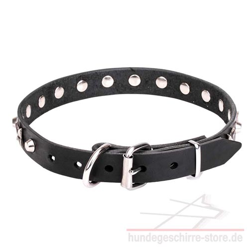 Leder Hundehalsband, abgerundet