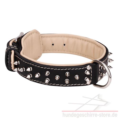 Leder Hundehalsband mit Spike 