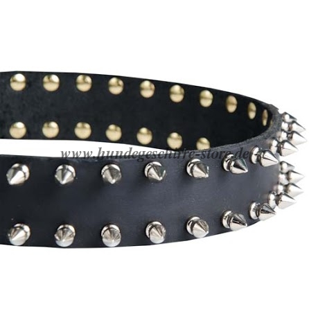 Laika Halsband mit Spikes für jeden Tag