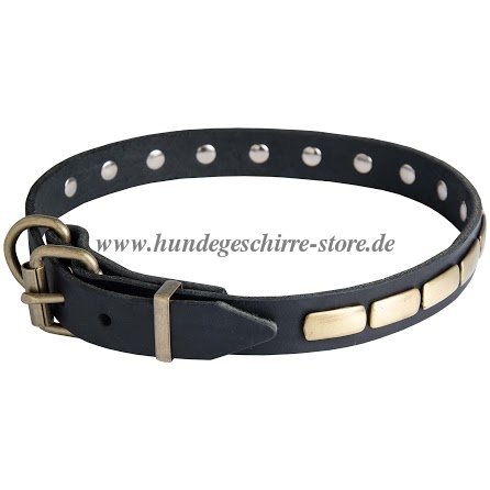 Leder Halsband mit Reihe von Platten für Laika