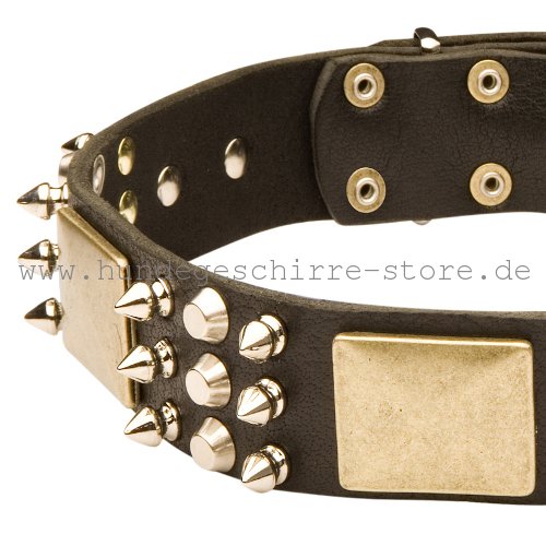 Leder Halsband, sicher