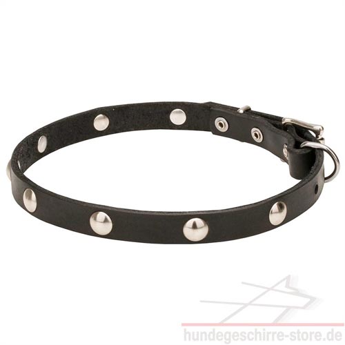 nietenhalsband mit ring hundeshop