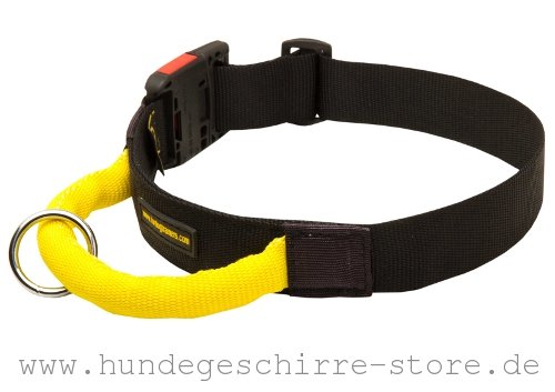 Nylon Hundehalsband, strapazierfähig