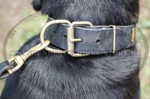 Luxus Lederhalsband mit Platten fuer
Grossen Schweizen Sennenhund