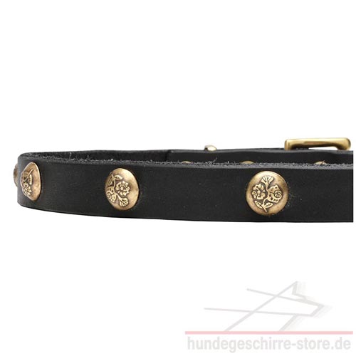 lederhalsband hund luxus messing genietet hundeshop