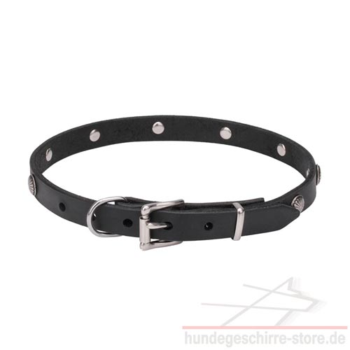 nietenhalsband hund zitrone hundeshop